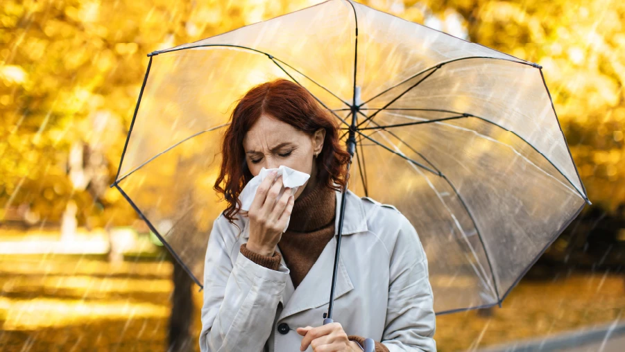 fenomeno d ela niña en colombia 2026 que pasa y que enfermedades aumentan serenus