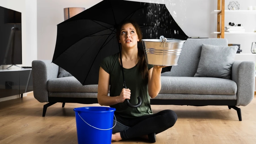 temporada de lluvias - asi debe proteger su hogar serenus