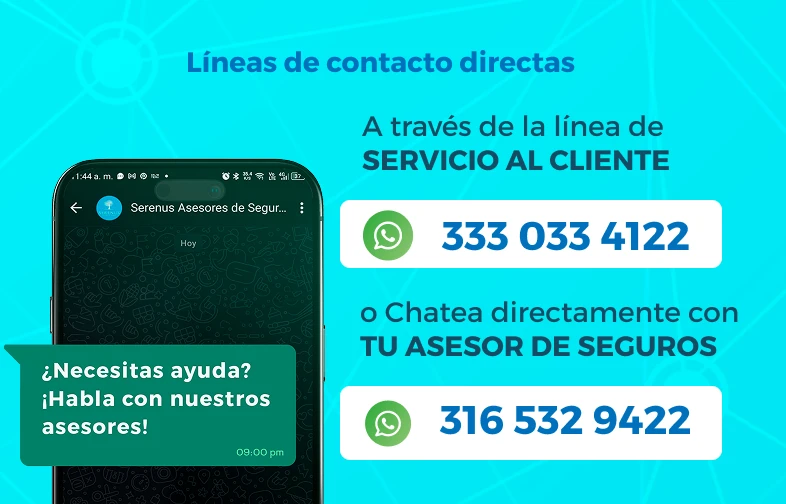 imagen contacto mobile